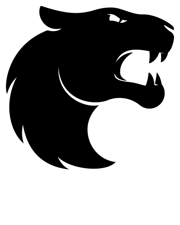 FURIA Esports 2 FURIA Esports